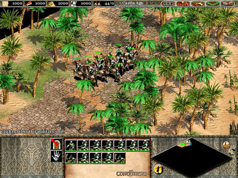 Age of the Empire II